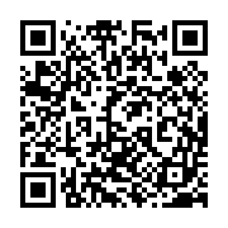 QR code for 290P53