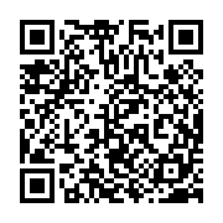 QR code for 290P55
