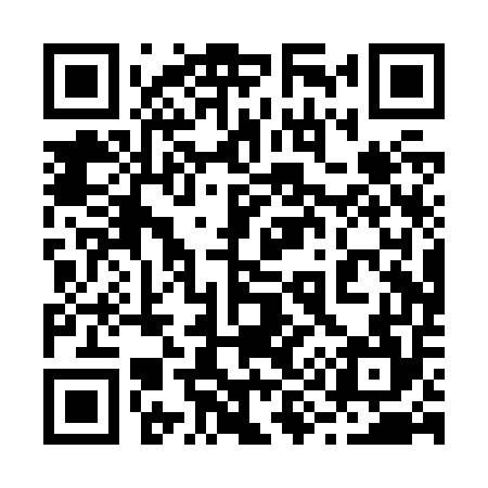 QR code for 290Z54