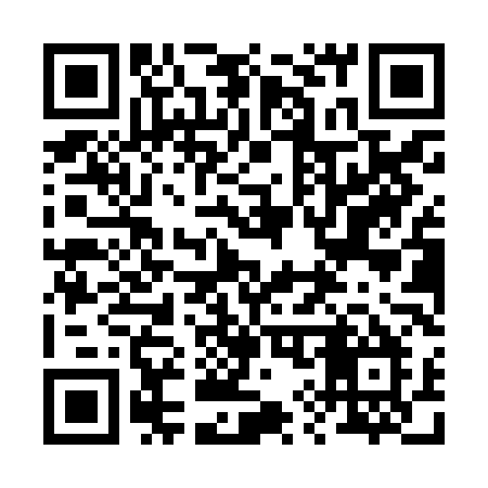 QR code for 290ZLM
