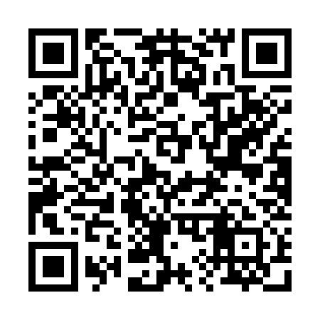 QR code for 291C31