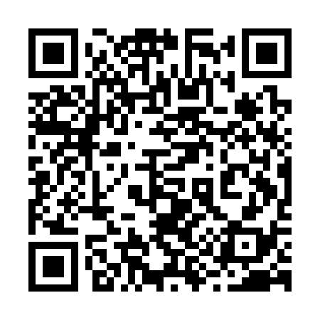 QR code for 291C38