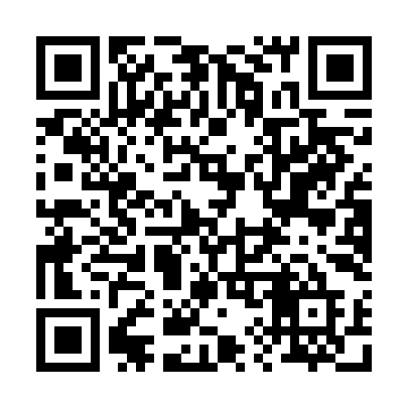 QR code for 291FIE