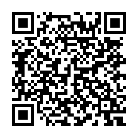 QR code for 291LZU