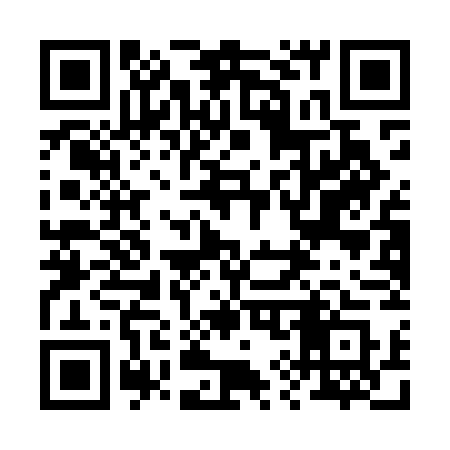 QR code for 291MGS