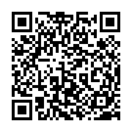 QR code for 291P65