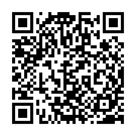 QR code for 291Q85