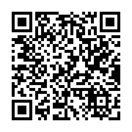 QR code for 291SVM