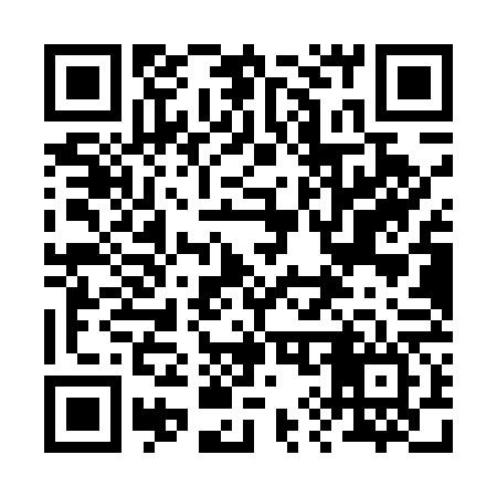 QR code for 291U66