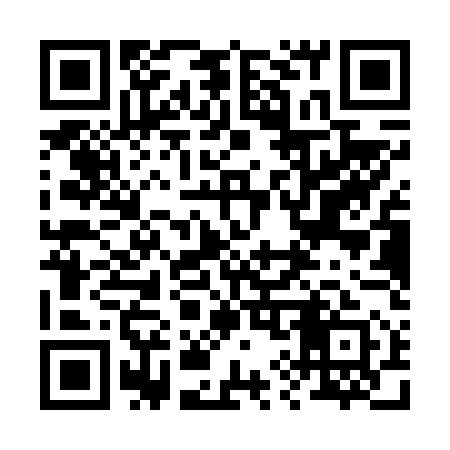 QR code for 291V51