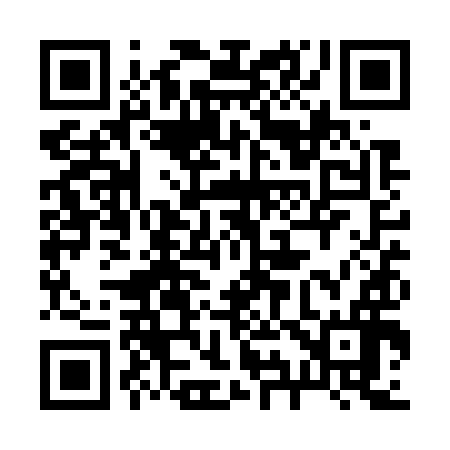 QR code for 291W96