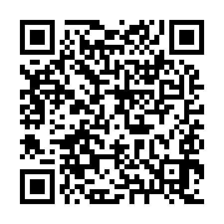 QR code for 291Y93