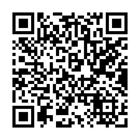 QR code for 291ZLI