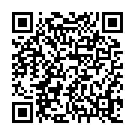 QR code for 291ZSN