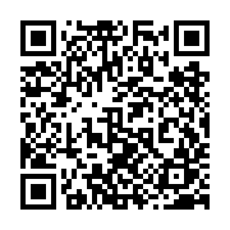 QR code for 293GIR