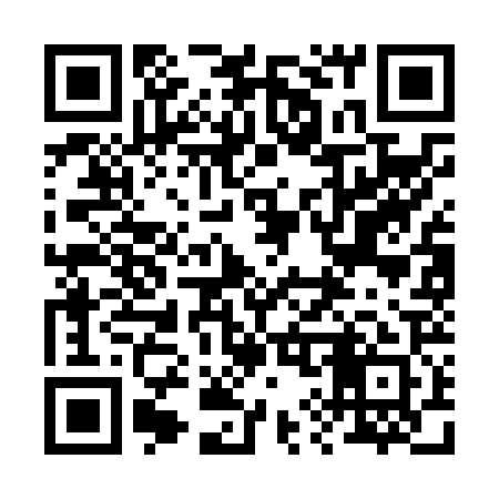 QR code for 293N21