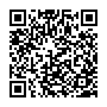 QR code for 293XXR