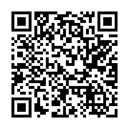 QR code for 294F95