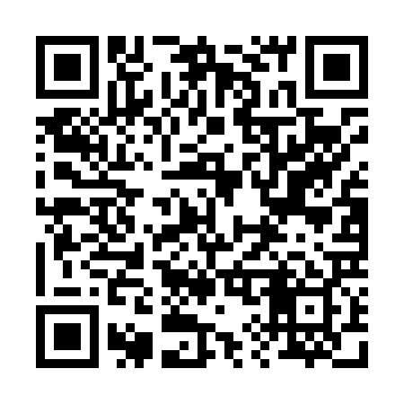 QR code for 294L29