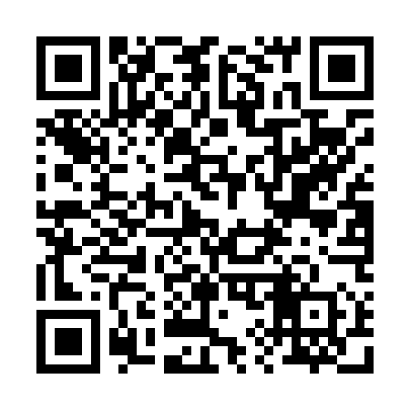 QR code for 294L50