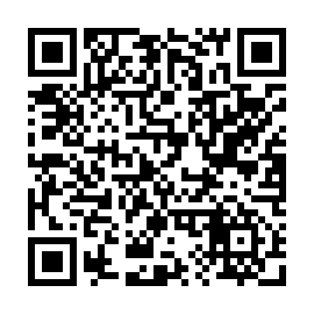 QR code for 294L57