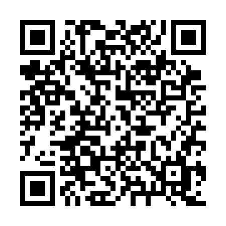 QR code for 294SGL