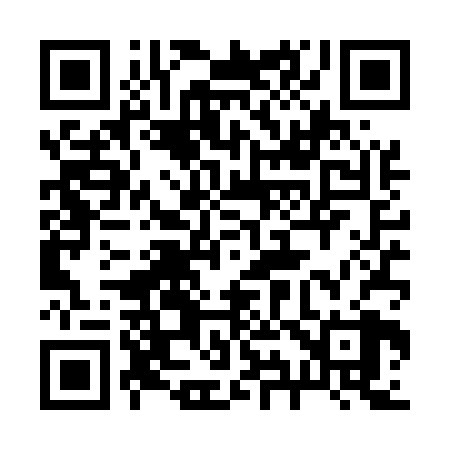 QR code for 294U28