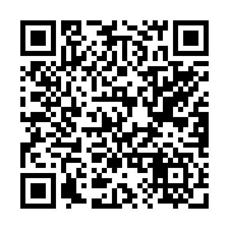 QR code for 295B47