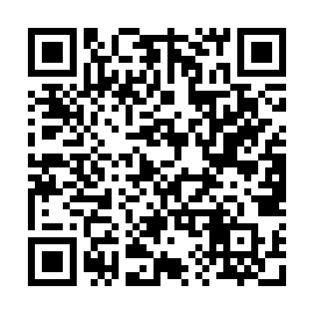 QR code for 295CZP
