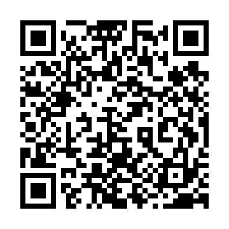 QR code for 295F33