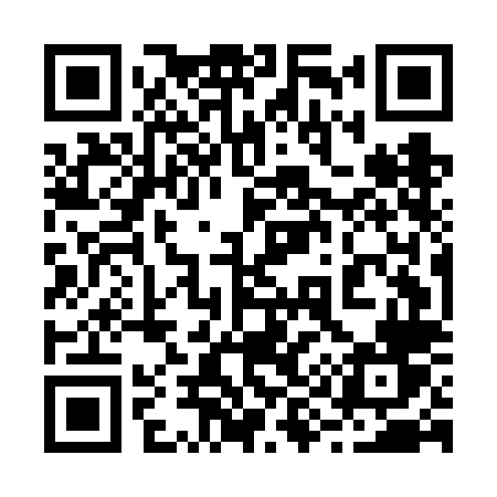 QR code for 295FLV
