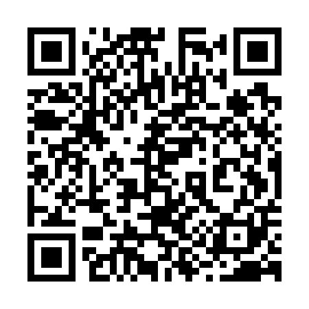QR code for 295G01