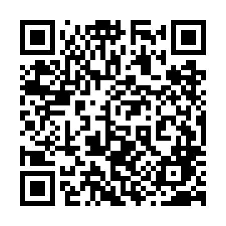 QR code for 295GLD