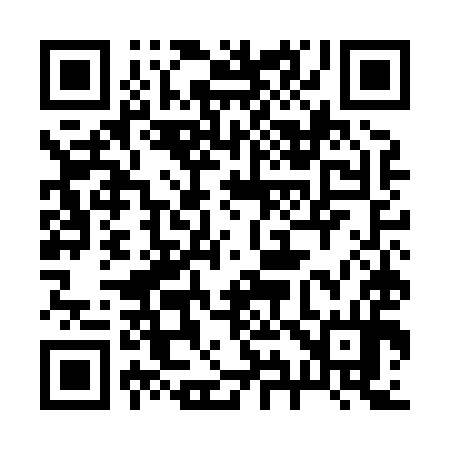 QR code for 295H94
