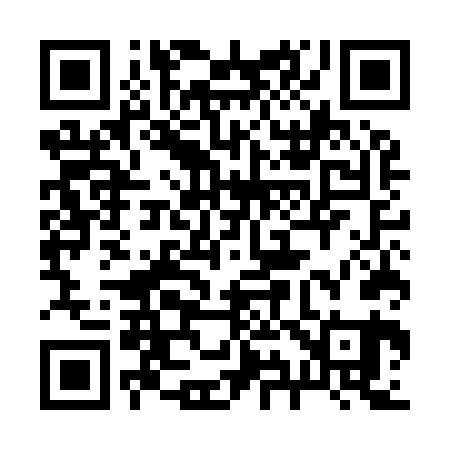 QR code for 295I61