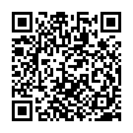 QR code for 295I90