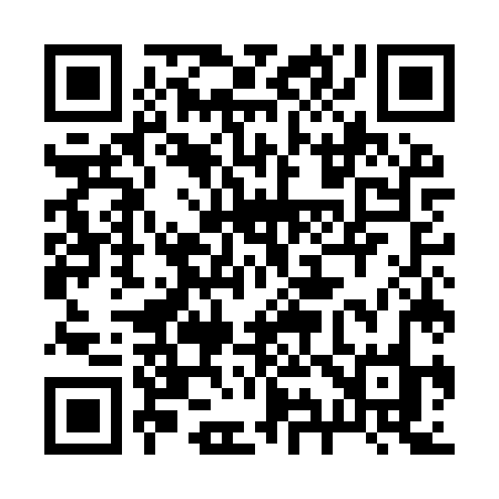 QR code for 295IZO
