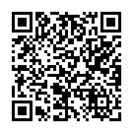 QR code for 295L45