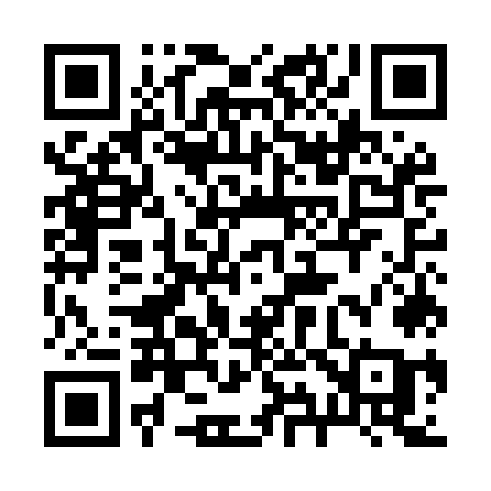 QR code for 295MOA