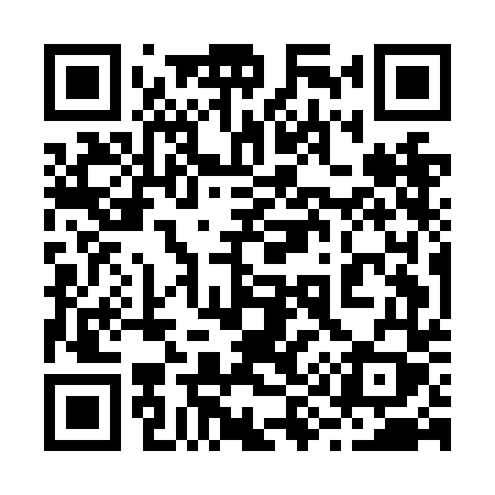 QR code for 295NDY