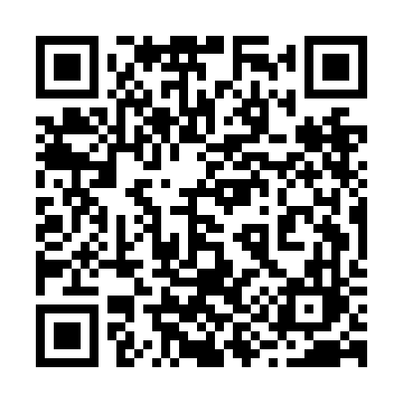 QR code for 295NFL