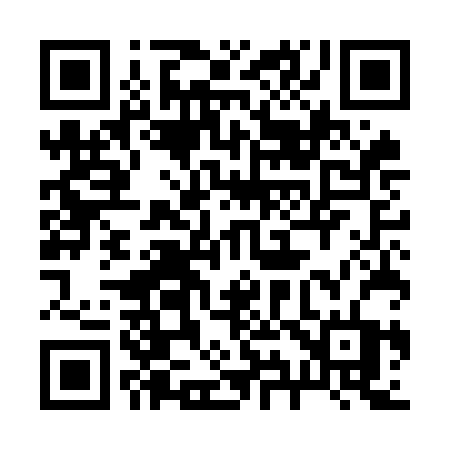 QR code for 295OBT