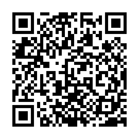 QR code for 295P51