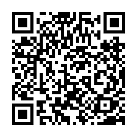 QR code for 295REX