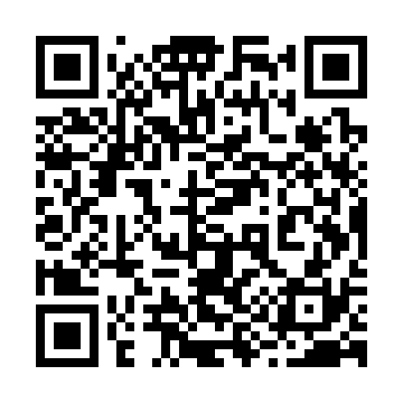 QR code for 295S30