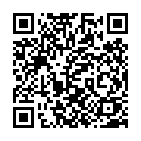 QR code for 295TSU