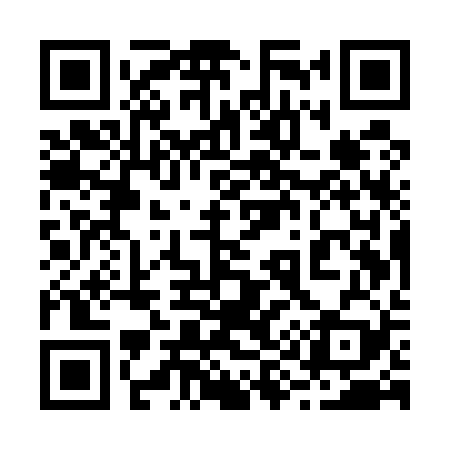 QR code for 295U29