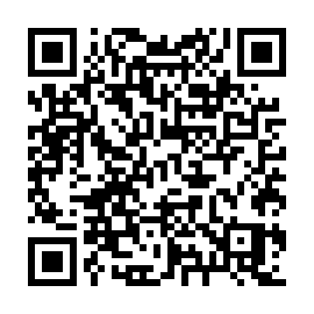 QR code for 295UWQ