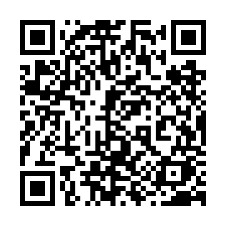 QR code for 295WOK
