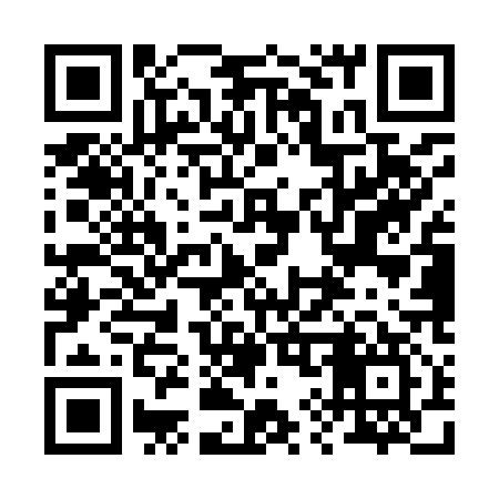 QR code for 295Y17